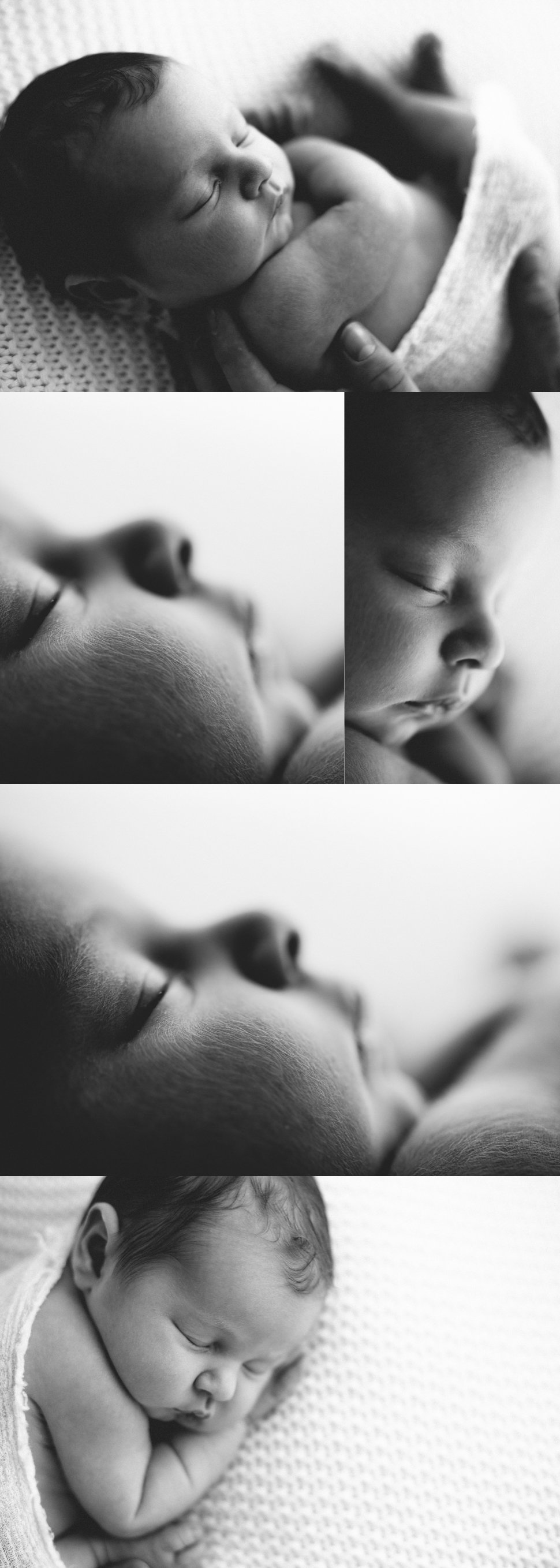 Francesca DB Photography